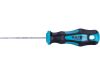 EXTOL šroubovák TORX, T10x75mm, CrV (8819244)