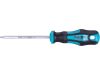 EXTOL šroubovák TORX, T27x100mm, CrV (8819248)