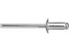 EXTOL nýty trhací hliníkové sada 1000ks, O 3,2x12,7mm plochá hlava (8813844)