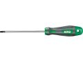 KITO šroubovák TORX, T 6x100, magnet, S2, KITO (4800406)