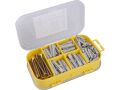 EXTOL vruty s hmoždinkami 4 rozměry, sada 170ks, vruty PZ 85ks: 40ks-3,5x30mm, 25ks-4x40mm, 12ks-5x50mm, 8ks-6x60mm, hmoždinky 8