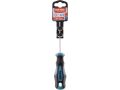 EXTOL šroubovák TORX, T10x75mm, CrV (8819244)