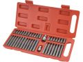 EXTOL hroty HEX-TORX-XZN, sada 40ks, CrV, EXTOL PREMIUM (8818202)