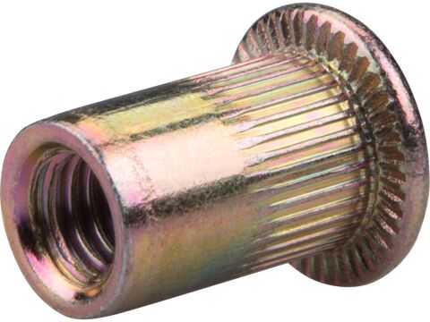 FORTUM matice nýtovací ocelové, sada 30ks, M6x14mm (4770686)